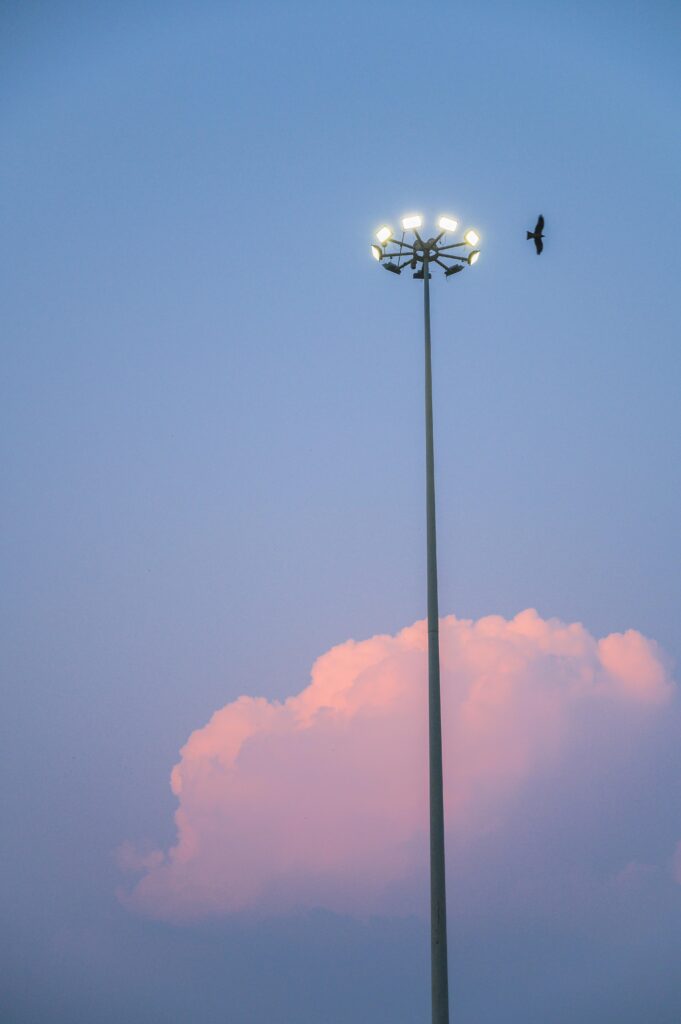 A bird flies near a tall streetlight against a colorful sunset sky with clouds.